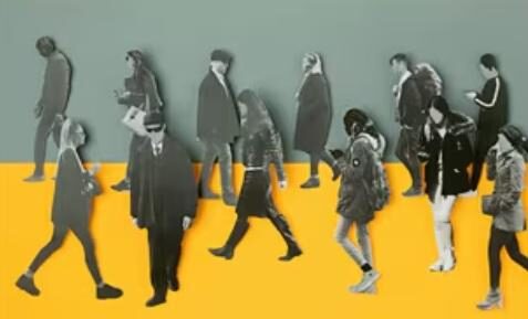 samenleving van minderheden samenleving van minderheden